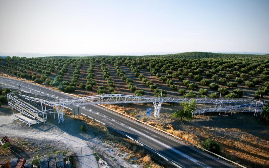 Pasarela peatonal de Cañete de las Torres